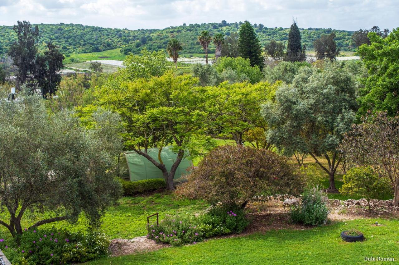 Amikam Meshek 81 משק 81 עמיקם Exterior foto
