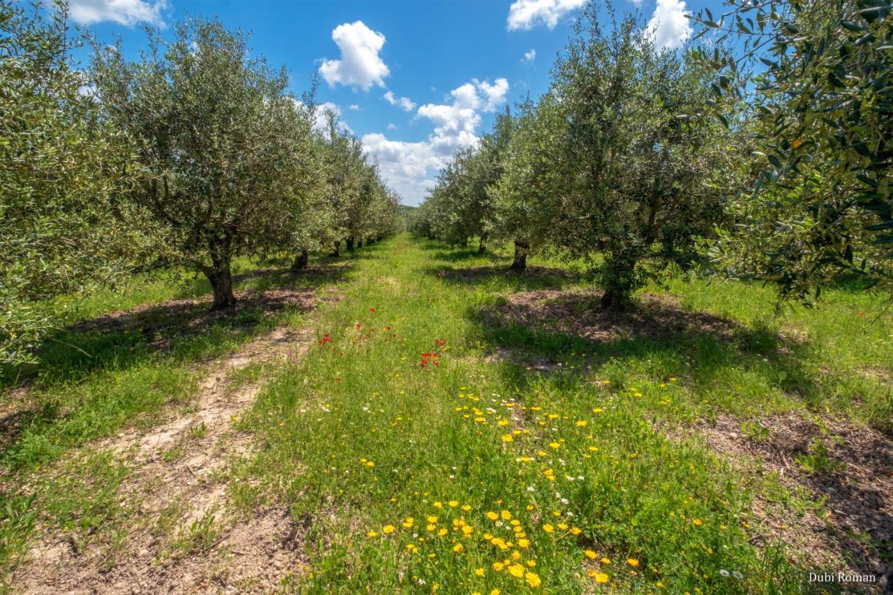 Amikam Meshek 81 משק 81 עמיקם Exterior foto