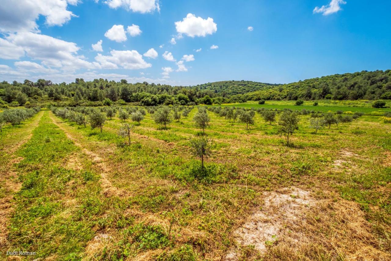 Amikam Meshek 81 משק 81 עמיקם Exterior foto