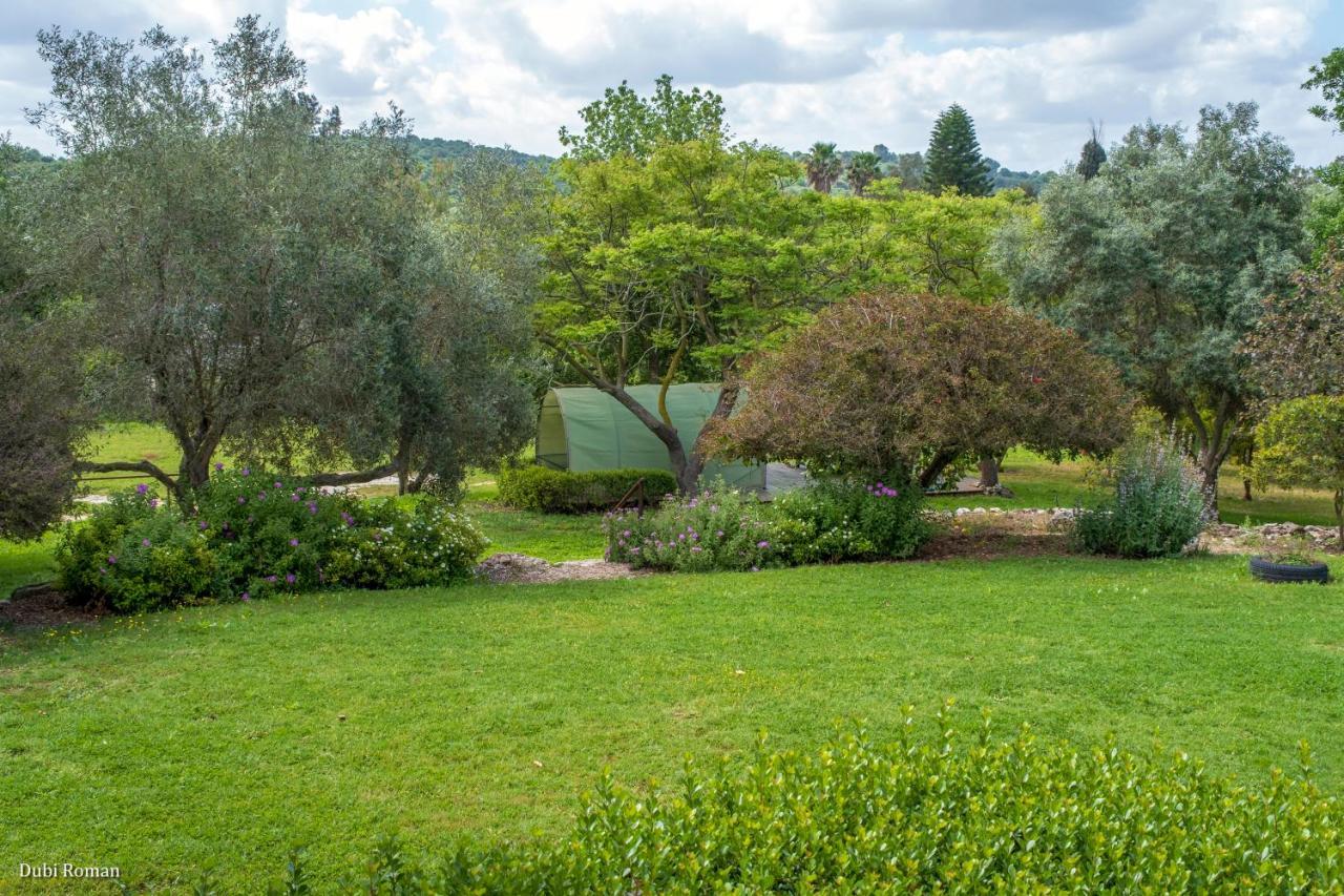 Amikam Meshek 81 משק 81 עמיקם Exterior foto