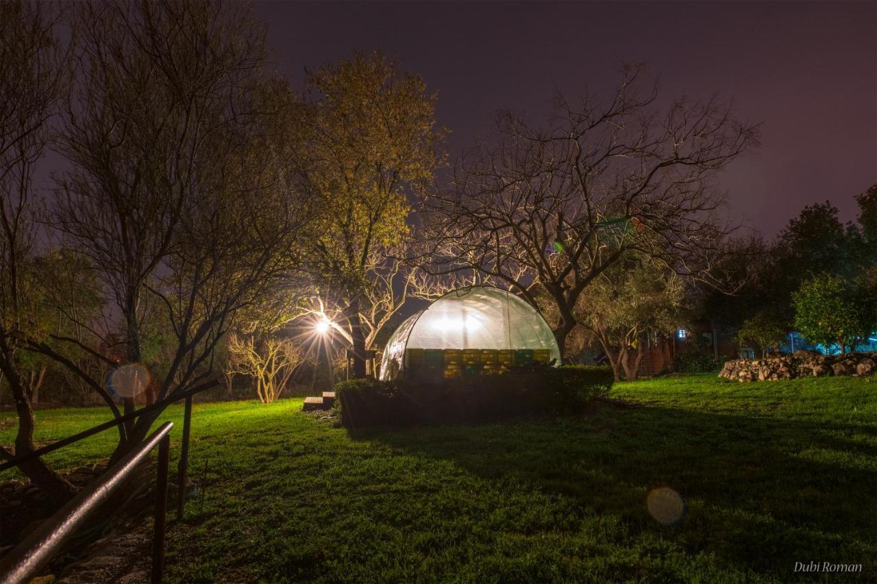 Amikam Meshek 81 משק 81 עמיקם Exterior foto