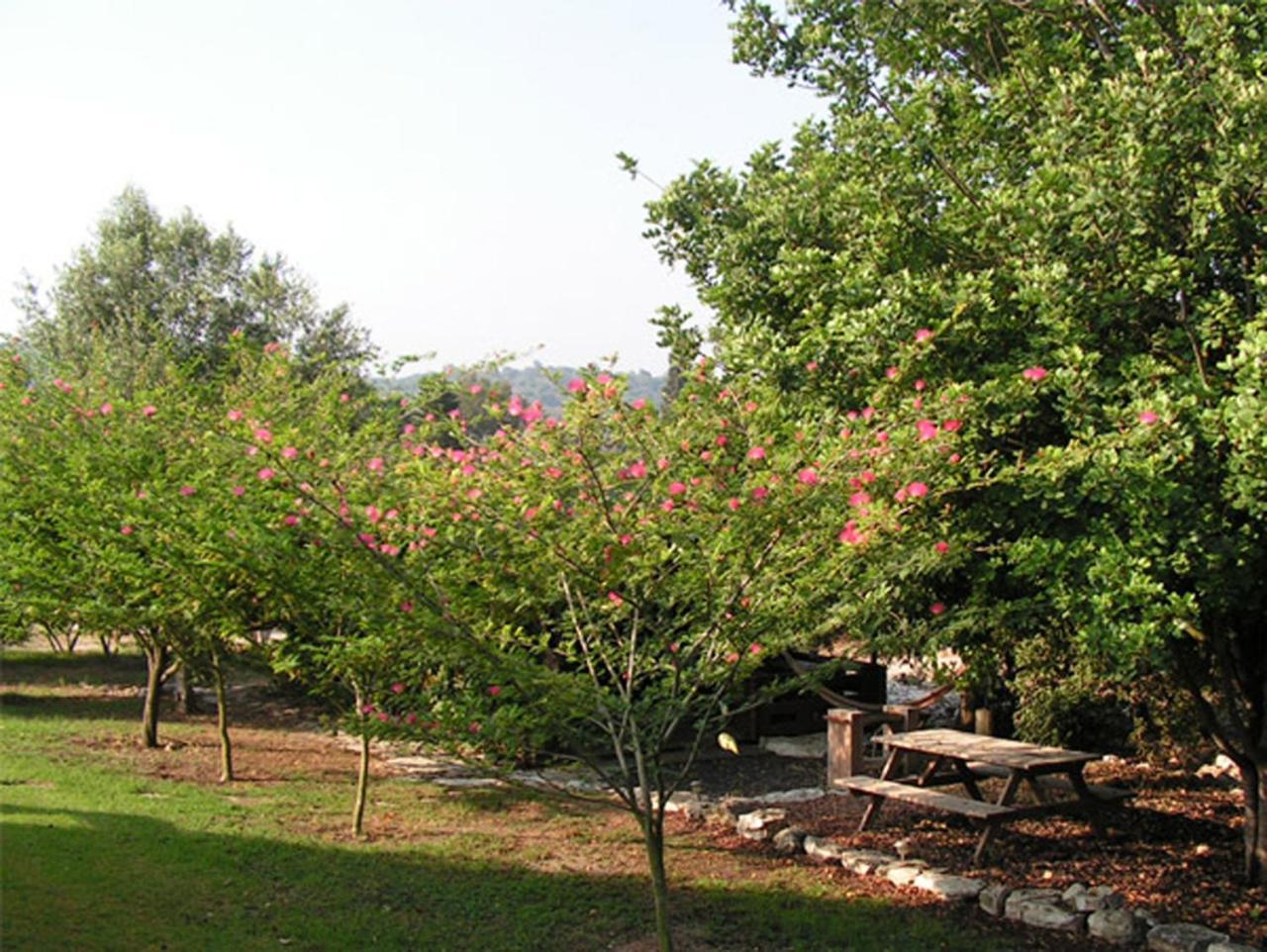 Amikam Meshek 81 משק 81 עמיקם Exterior foto