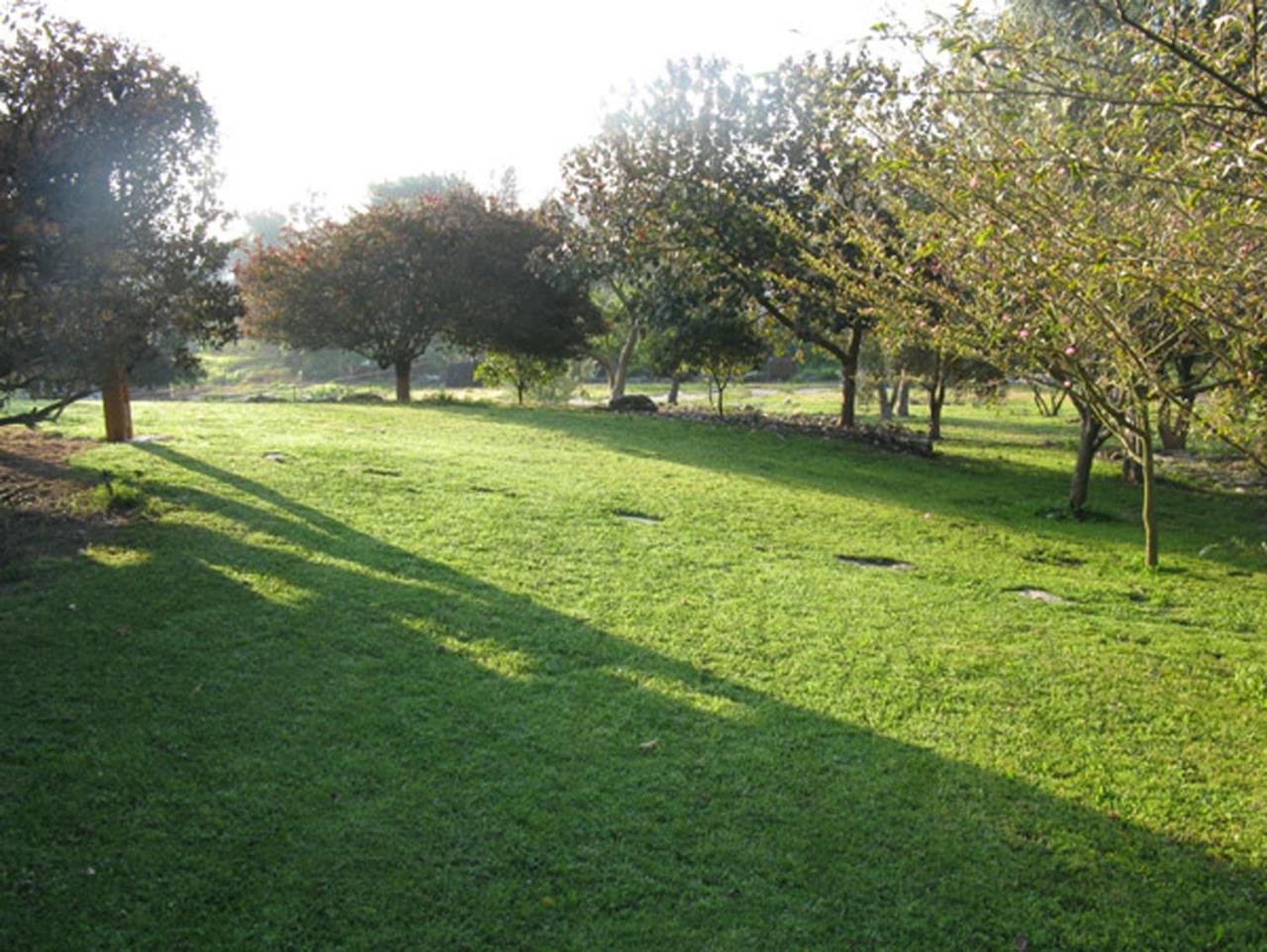 Amikam Meshek 81 משק 81 עמיקם Exterior foto